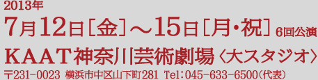 2013年7月12日(金)〜15日(月・祝) 6回公演 KAAT神奈川芸術劇場〈大スタジオ〉